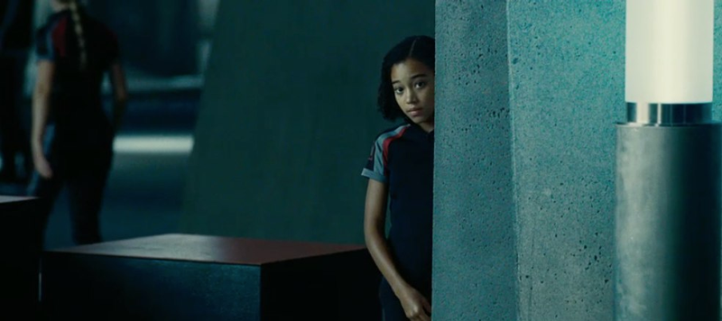 Illustration for article titled Everything You Missed in the Hunger Games Trailer: 40 Awesome Images!